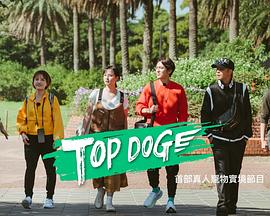 羞羞视频《TOP DOG》免费在线观看