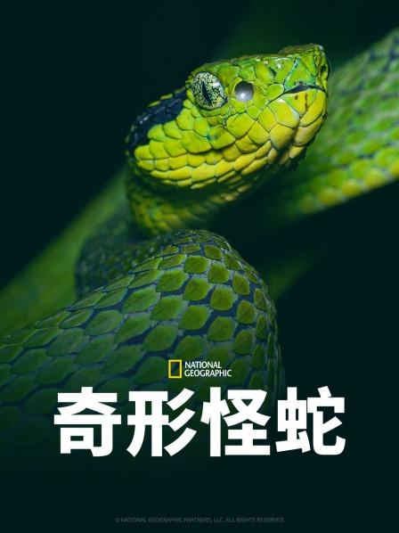 老三导航《奇形怪蛇》免费在线观看